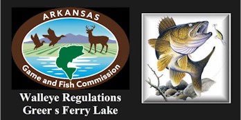 Greers Ferry Lake Walleye Regulation